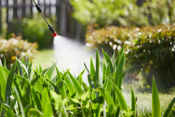 24/7 Emergency Mosquito Control experts in Greenville, PA